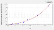 Rat RORg(RAR Related Orphan Receptor γ) ELISA Kit