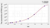 Rat PRKX(Protein Kinase, X-Linked) ELISA Kit