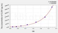 Rat CLDN1(Claudin 1) ELISA Kit