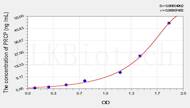 Rat PRCP(Prolylcarboxypeptidase) ELISA Kit