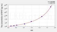 Mouse MYH7(Myosin Heavy Chain 7, Cardiac Muscle, β) ELISA Kit