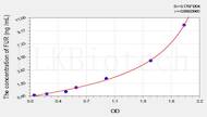 Rat FUR(Furin) ELISA Kit