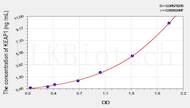 Human KEAP1(Kelch Like ECH Associated Protein 1) ELISA Kit