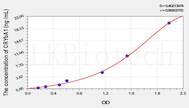 Mouse CRYbA1(Crystallin β A1) ELISA Kit