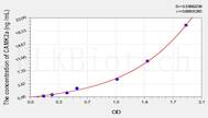 Mouse CAMK2a(Calcium/Calmodulin Dependent Protein Kinase II α) ELISA Kit