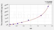 Human SKIL(SKI Like Oncogene) ELISA Kit