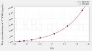 Rat CYP3A5(Cytochrome P450 3A5) ELISA Kit