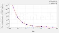 Rat PIIICP(Procollagen III C-Terminal Propeptide) ELISA Kit