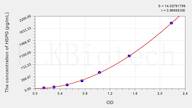 Rat HSPG(Heparan Sulfate Proteoglycan) ELISA Kit