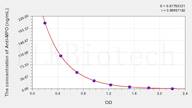 Human Anti-MPO(Anti-Myeloperoxidase Antibody) ELISA Kit