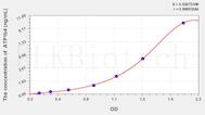 Rat ATP1b4(ATPase, Na+/K+ Transporting β 4 Polypeptide) ELISA Kit