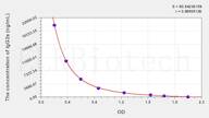 Rat IgG2a(Immunoglobulin G2a) ELISA Kit