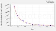 cAMP(Cyclic Adenosine Monophosphate) ELISA Kit