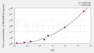 Mouse MAGEB16(Melanoma Antigen Family B16) ELISA Kit