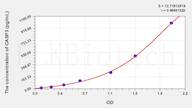 Rabbit CASP3(Caspase 3) ELISA Kit