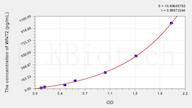 Rat WNT2(Wingless Type MMTV Integration Site Family, Member 2) ELISA Kit