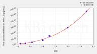 Mouse WNT2(Wingless Type MMTV Integration Site Family, Member 2) ELISA Kit