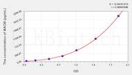 Rat MAOB(Monoamine Oxidase B) ELISA Kit