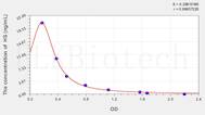 HS(Heparan Sulfate) ELISA Kit