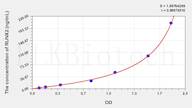 Rat RUNX2(Runt Related Transcription Factor 2) ELISA Kit