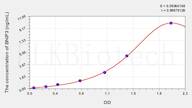 Human BNIP3(Bcl2/Adenovirus E1B 19kDa Interacting Protein 3) ELISA Kit