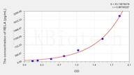 Mouse NFκB-p65(Nuclear Factor κ B p65) ELISA Kit