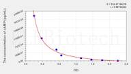 Horse cAMP(Cyclic Adenosine Monophosphate) ELISA Kit