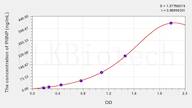 Cattle PIIINP(Procollagen III N-Terminal Propeptide) ELISA Kit