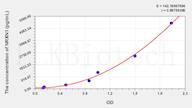 Human NRXN1(Neurexin1) ELISA Kit