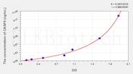 Rat CASP6(Caspase 6) ELISA Kit