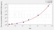 Rat MAP1LC3B(Microtubule-associated proteins 1A/1B light chain 3B) ELISA Kit