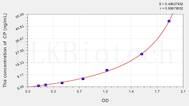 Dog CP(Ceruloplasmin) ELISA Kit