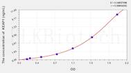 Rat KEAP1(Kelch Like ECH Associated Protein 1) ELISA Kit