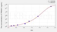 Mouse PRKAb1(Protein Kinase, AMP Activated β 1) ELISA Kit