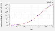 Chicken CALP(Calprotectin) ELISA Kit