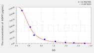 Mouse AOPP(Advanced Oxidation Protein Products) ELISA Kit