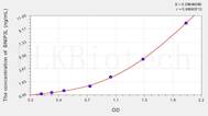 Human BNIP3L(BCL2/adenovirus E1B 19 kDa protein-interacting protein 3-like) ELISA Kit