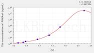 Horse PRKAa1(Protein Kinase, AMP Activated α 1) ELISA Kit