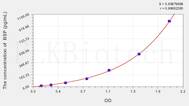 Rat BSP(Bone Sialoprotein) ELISA Kit