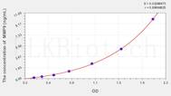 Hamster MMP9(Matrix Metalloproteinase 9) ELISA Kit