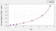 Rat CASP2(Caspase 2) ELISA Kit