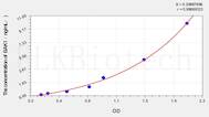 Rat BAK1(Bcl2 Antagonist/Killer 1) ELISA Kit