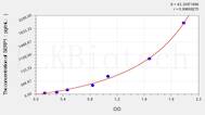 Human SERP1(Stress-associated endoplasmic reticulum protein 1) ELISA Kit