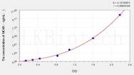 Rabbit MC4R(Melanocortin receptor 4) ELISA Kit