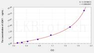 Rat ASK1(Apoptosis Signal Regulating Kinase 1) ELISA Kit