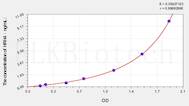 Horse HRH4(Histamine Receptor H4) ELISA Kit