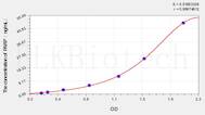 Zebrafish PARP(Poly ADP Ribose Polymerase) ELISA Kit