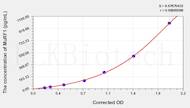 Rat MuRF1(muscle-specific RING-finger protein 1) ELISA Kit