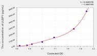 Human ULBP1(UL16 binding protein 1) ELISA Kit