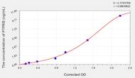 Human PTPRB(Protein Tyrosine Phosphatase Receptor Type B) ELISA Kit